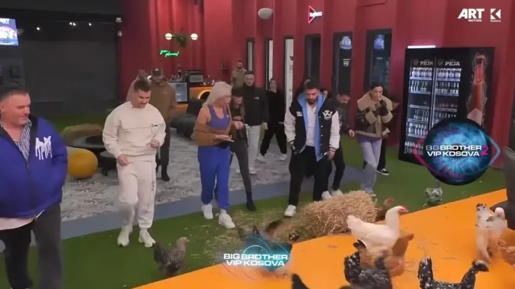 Loja më interesante deri më sot, këto janë momentet qesharake të banorëve duke i zënë pulat