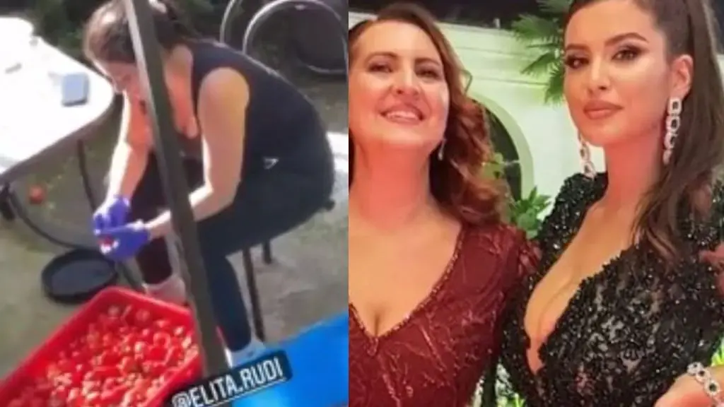 Dikur i ndihmonte të bënte ajvar, shikoni se çfarë raporti ka sot Elita Rudi me vjehrren