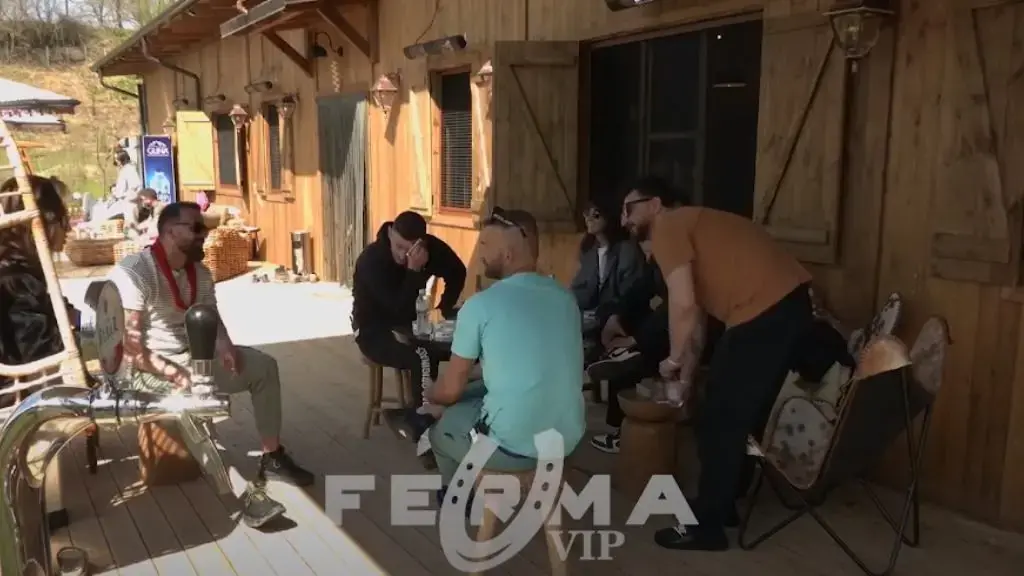 Fermerët u vendosin emra kafshëve, emri që i vendosin maces do iu shkrijë së qeshuri!