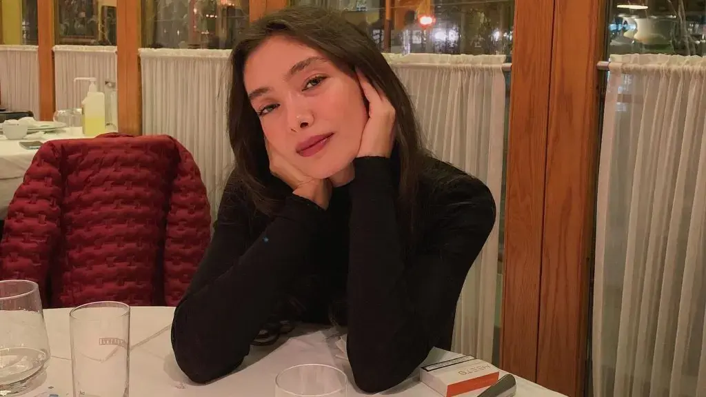 Pas tetë vitesh, aktorja e famshme turke shtatzënë për herë të parë