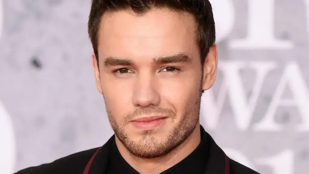 Lidhje e re, dashuri e re: Ish e dashura e Liam Payne fejohet