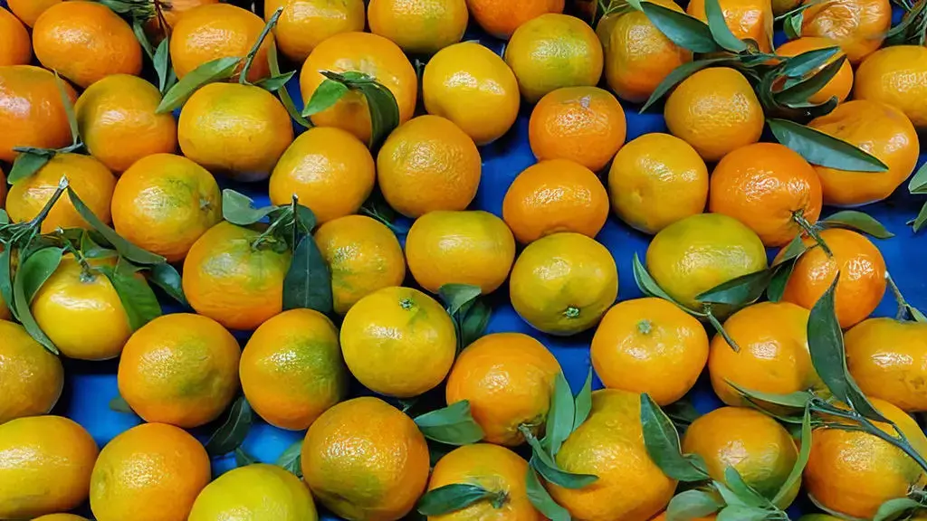 mandarinat-53987298