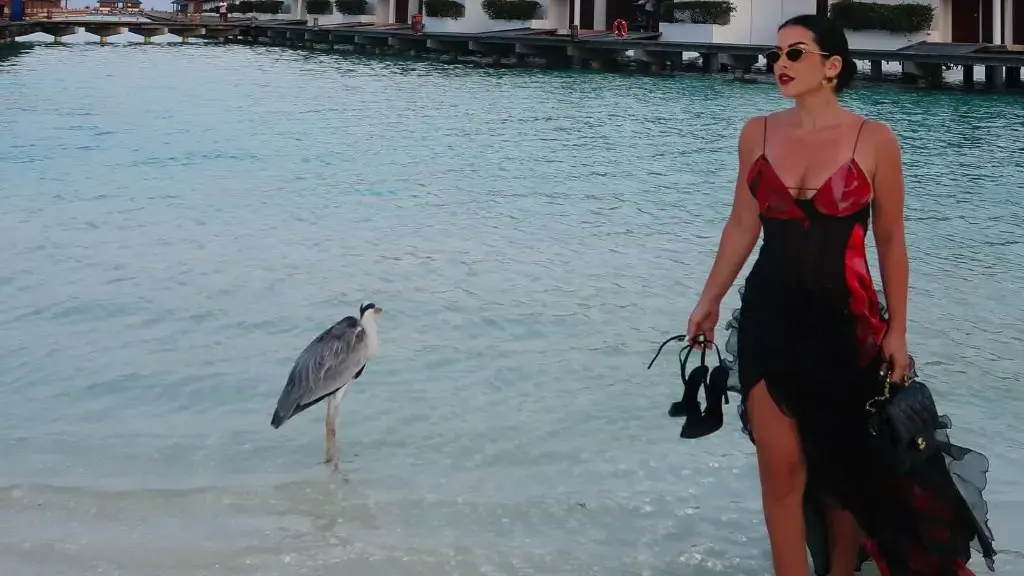 elita rudi b 59483064365