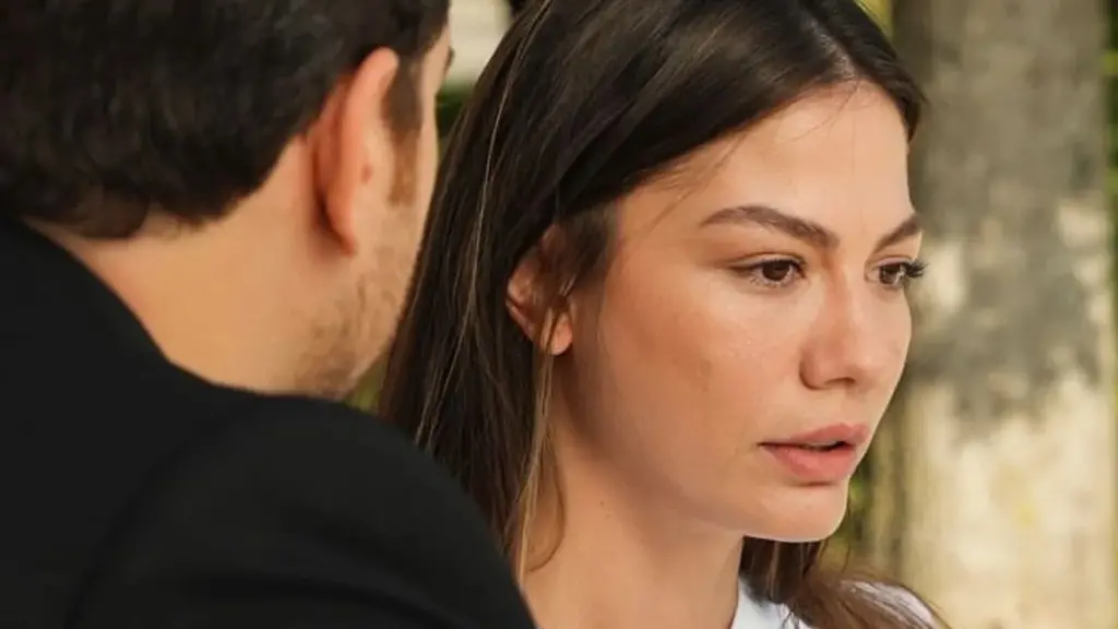 demet ozdemir b 546349436