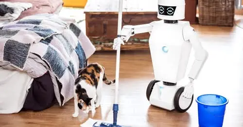Si do të ndryshojnë robotët jetesën tonë?